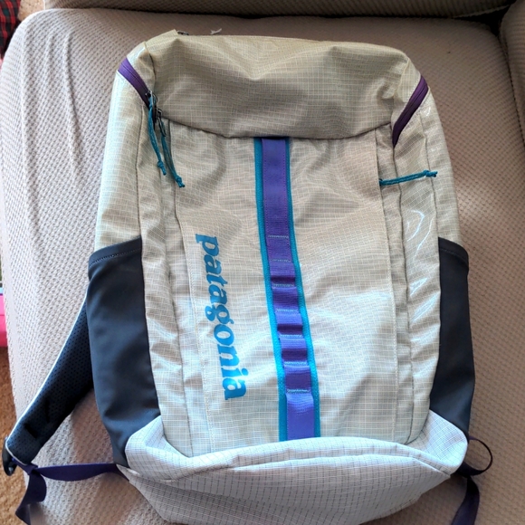 Patagonia Handbags - Patagonia Black Hole 25L Backpack